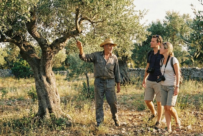 Visit Your Grove in Puglia